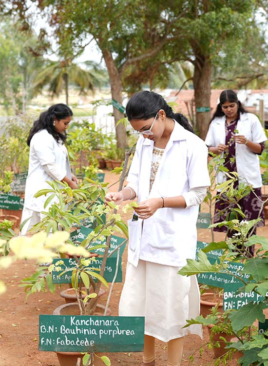 ayurveda-day